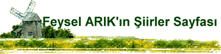 Feysel ARIK'�n �iirler Sayfas�