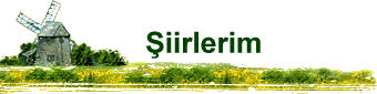 �iirlerim