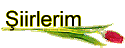 �iirlerim